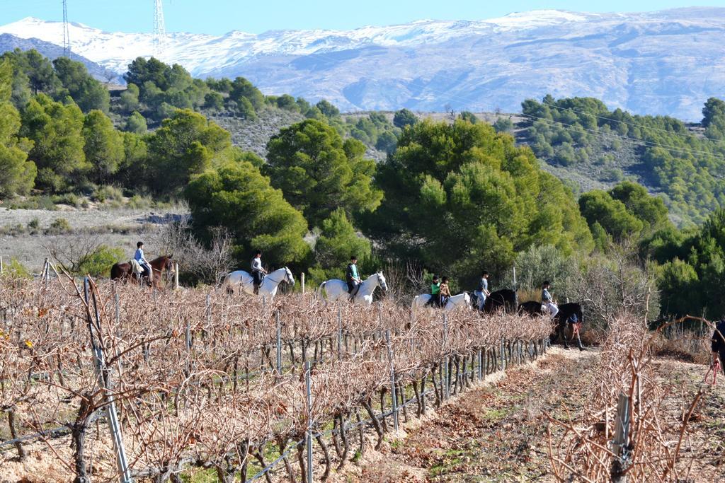 Hotel&winery Señorío De Nevada Hotel Villamena