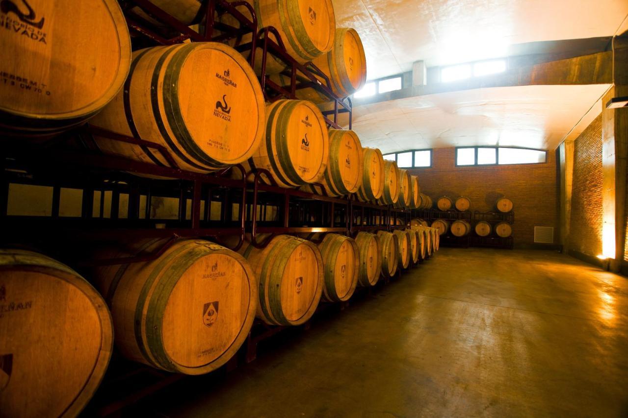 Hotel Hotel&winery Señorío De Nevada