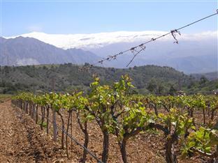 & Winery Senorio De Nevada 4* Villamena